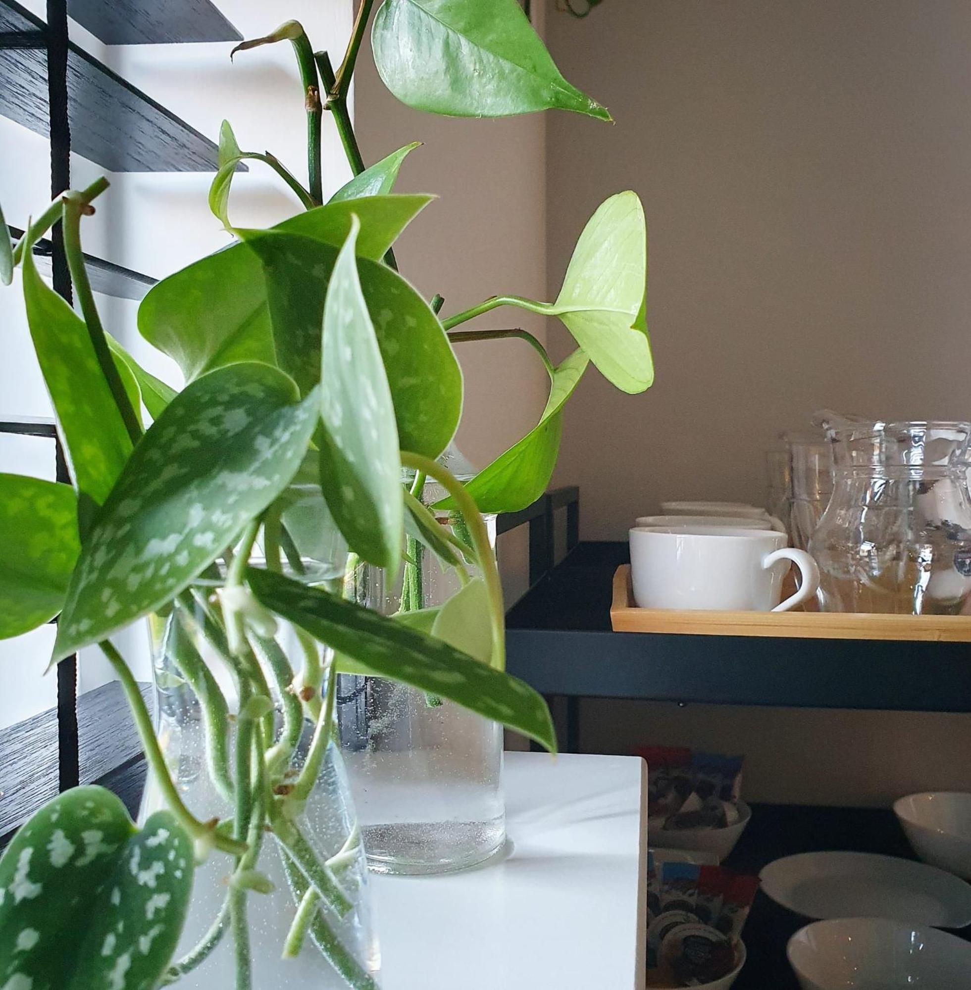 Bed And Breakfast 'Wij En De Zande' Kamperveen Eksteriør billede